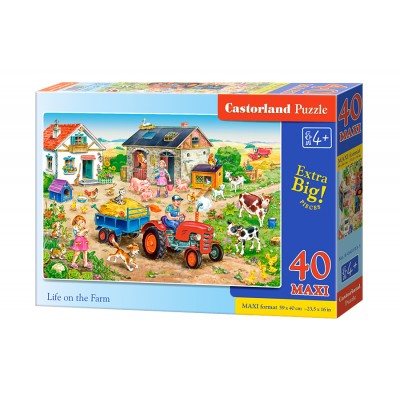 Puzzle Castorland B-040193