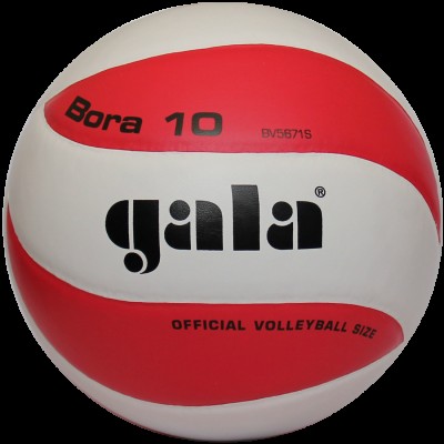 Мяч волейбольный Gala Bora (BV 5671S)