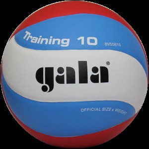 Мяч волейбольный Gala Training BV 5561S
