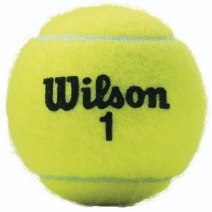 Minge pentru tenis Wilson Championship (WRT110000)