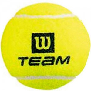 Minge pentru tenis Wilson Team W Practice Tball (WRT111900)