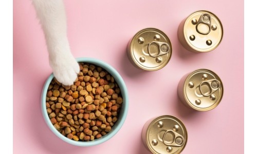 Cum sa alegi mâncarea potrivita pentru pisici