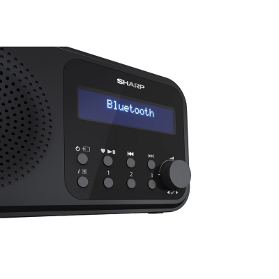 Sharp  DR-P420BKV01, Portable Digital Radio