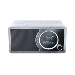Sharp  DR-450GRV02, Portable Digital Radio