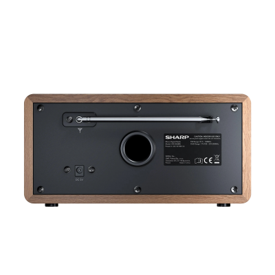 Sharp  DR-450BRV03, Portable Digital Radio
