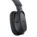  Home Wireless Headphones  SONY  RF MDR-RF895RK