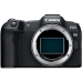 DC Canon EOS R8 BODY