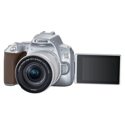 DC Canon EOS 250D & EF-S 18-55mm F4-5.6 IS STM KIT - Silver