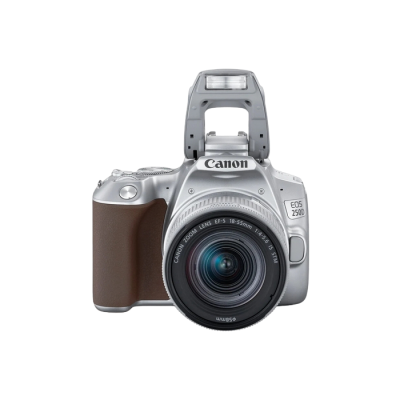 DC Canon EOS 250D & EF-S 18-55mm F4-5.6 IS STM KIT - Silver