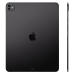 Apple 13-inch iPad Pro 256Gb Wi-Fi Space Black (MVX23NF/A)
